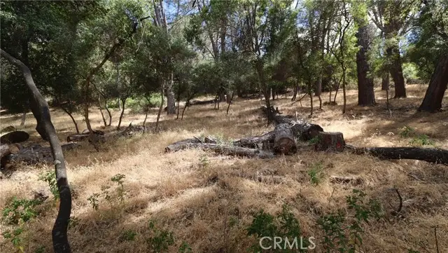 10465 Boren Bega Drive, Kelseyville, CA 95451 - #3