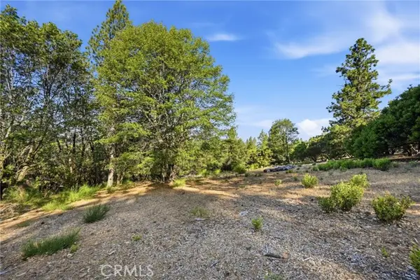 9003 Fox Drive, Cobb, CA 95426