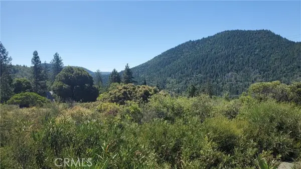 9176 Diamond Dust, Kelseyville, CA 95451