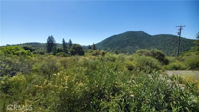 9176 Diamond Dust, Kelseyville, CA 95451 - #2