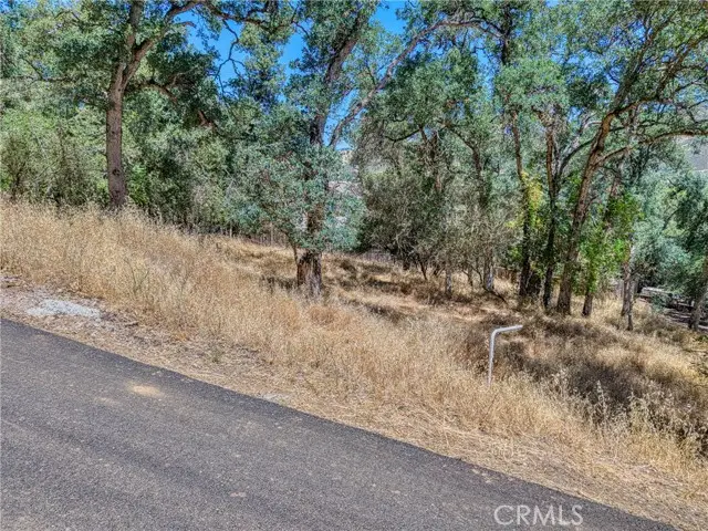 13020 Ridge Street, Clearlake, CA 95422 - #2