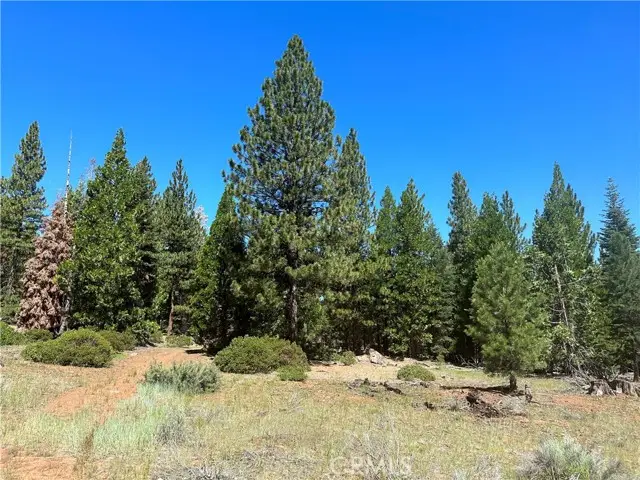1 Canyon Creek Rd, Alturas, CA 96101 - #2