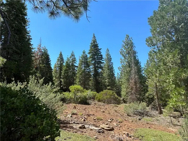 1 Canyon Creek Rd, Alturas, CA 96101 - #3
