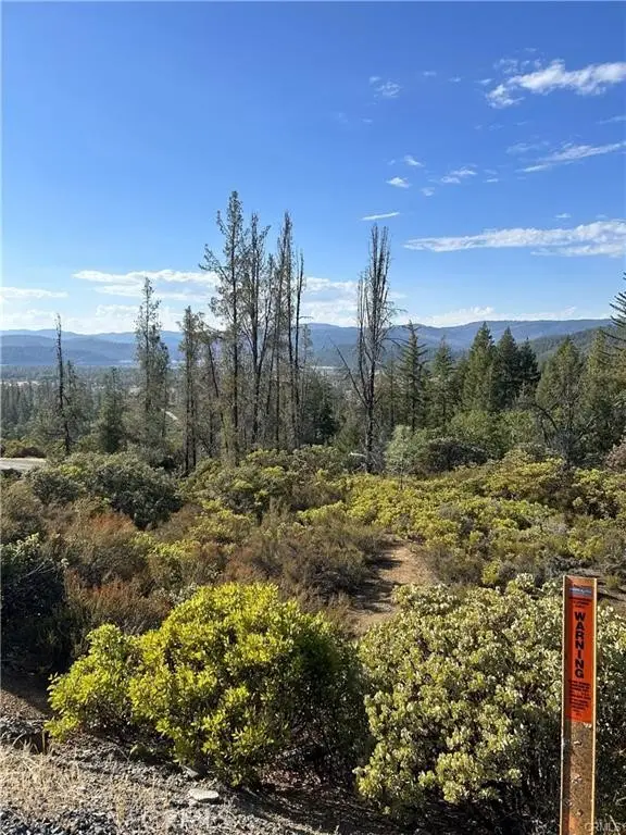 29956 Booth Crossing Road, Potter Valley, CA 95469 - #1