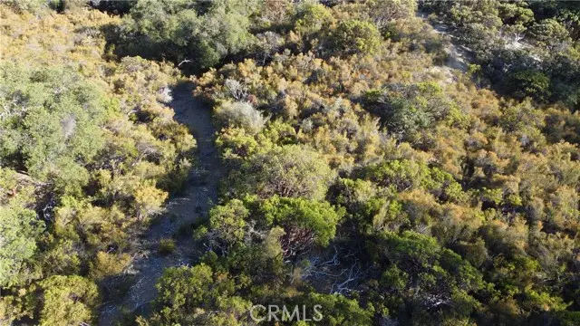 29956 Booth Crossing Road, Potter Valley, CA 95469 - #2