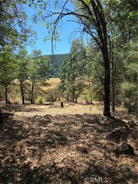9655 Mountain Meadow, Kelseyville, CA 95451