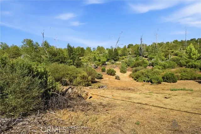 15250 Evergreen, Cobb, CA 95426 - #2