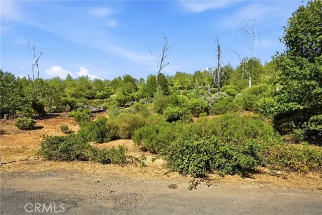 15250 Evergreen, Cobb, CA 95426 - #3