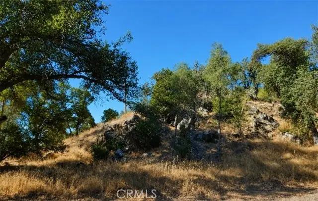 3695 Spring valley rd, Clearlake Oaks, CA 95423 - #1
