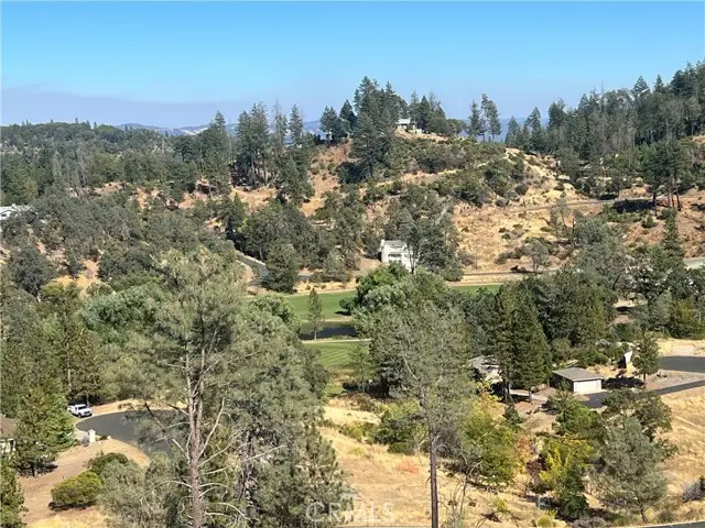 9767 Venturi, Cobb, CA 95426 - #3
