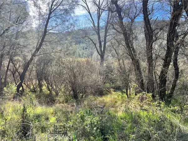 2286 New Long Valley Road, Clearlake Oaks, CA 95423