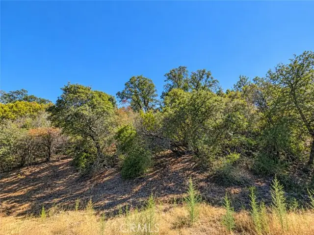 9951 Palmer Court, Cobb, CA 95451 - #3