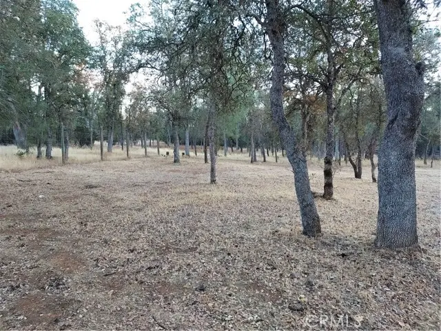 16183 42nd, Clearlake, CA 95422 - #2