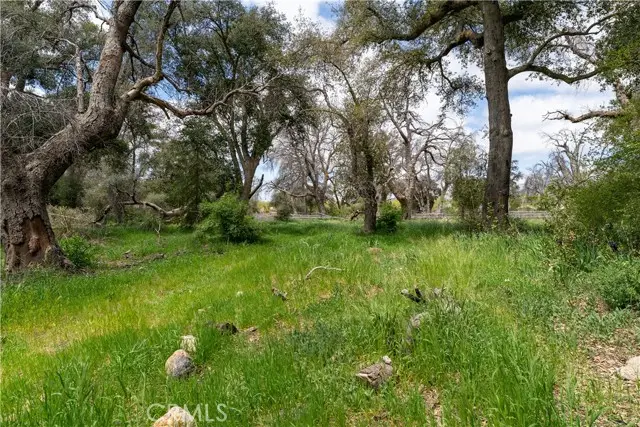 29972 Chihuahua Valley Road, Warner Springs, CA 92086 - #3