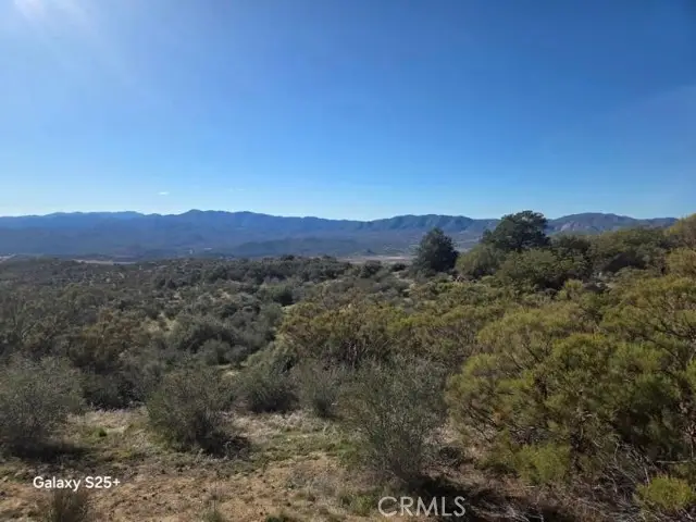 40850 Silver Saddle Court, Anza, CA 92539 - #2