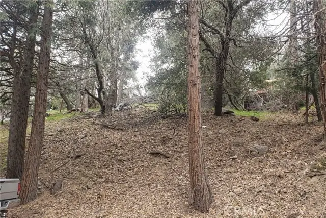 0 Basel Dr, Crestline, CA 92325 - Image #2