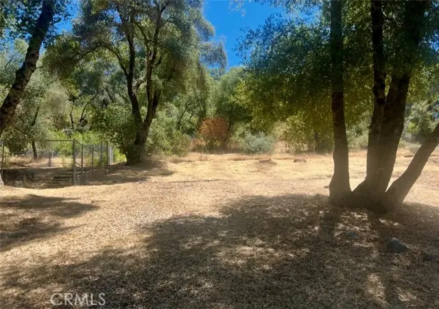 3616 Manzanita Road, Mariposa, CA 95338 - Image #3