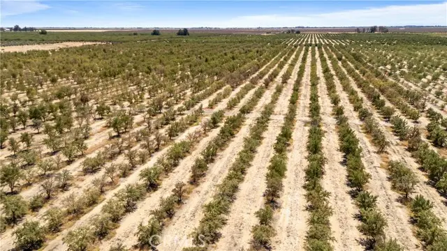 0 Buchanan Hollow Rd, Le Grand, CA 95333 - #1