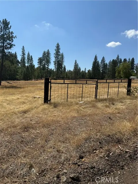 6479 Pine Drive, Coulterville, CA 95311 - #1