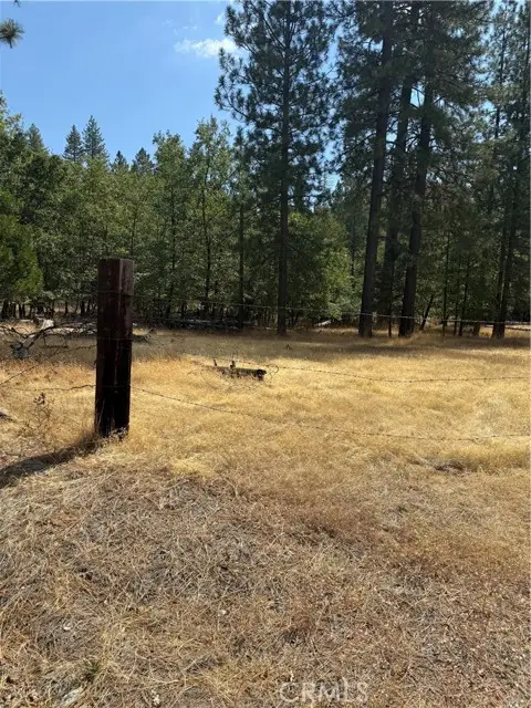 6479 Pine Drive, Coulterville, CA 95311 - #2