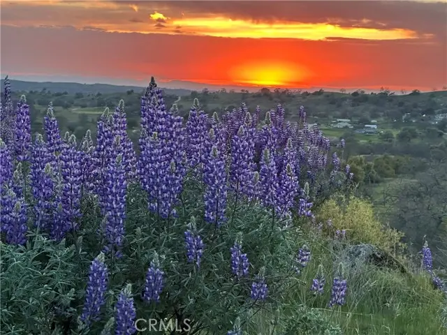 0 Spinecup Ridge, Raymond, CA 93653 - Image #1