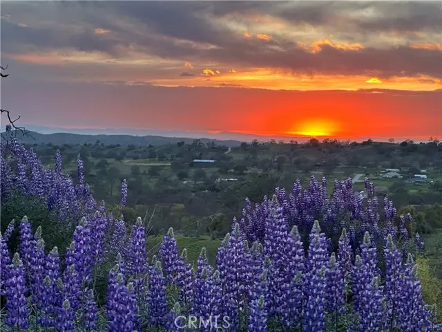 0 Spinecup Ridge, Raymond, CA 93653 - Image #2