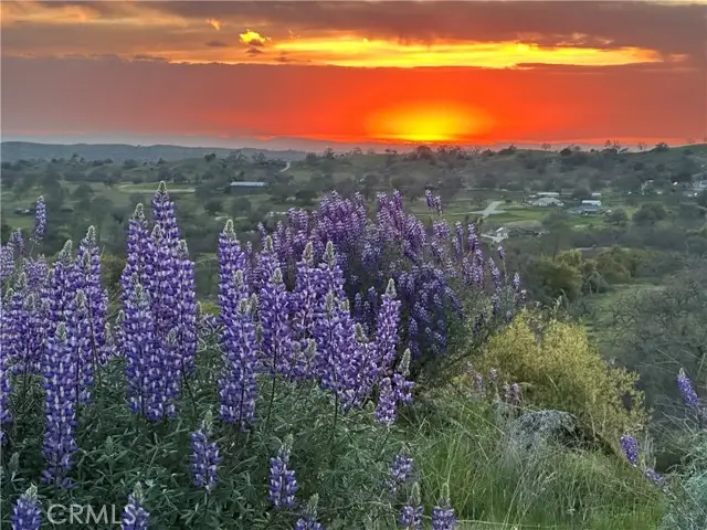 0 Spinecup Ridge, Raymond, CA 93653 - Image #3