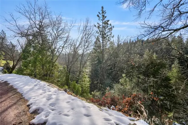 1191 Barney Way, West Point, CA 95255 - #2