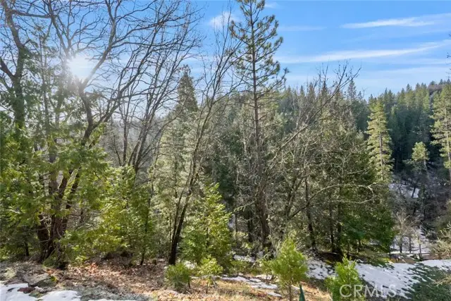 1191 Barney Way, West Point, CA 95255 - #3