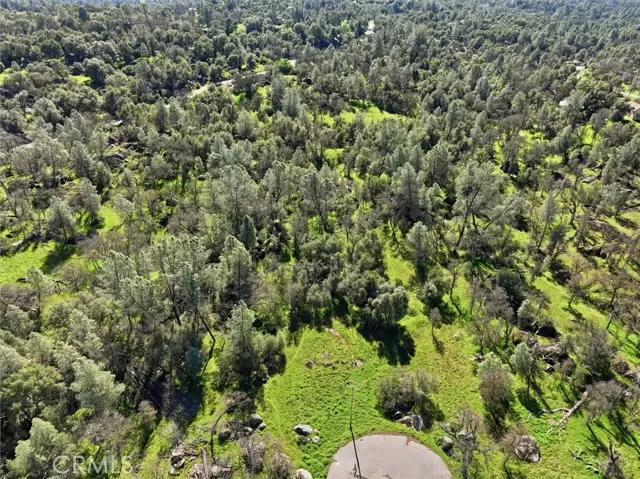 4251 Burl, Mariposa, CA 95338 - #1