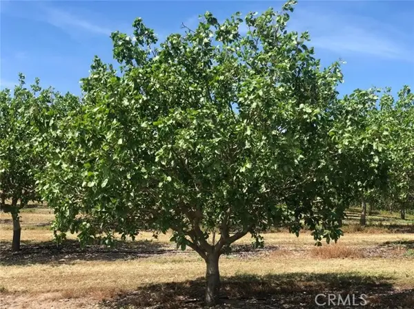 17981 Los Cerritos, Snelling, CA 95369