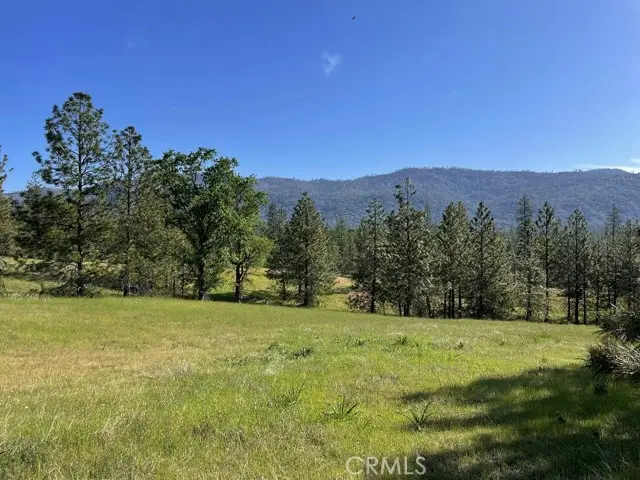 0 Triangle Road, Mariposa, CA 95338 - #1