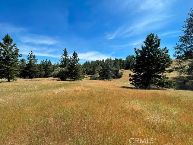 0 Triangle Road, Mariposa, CA 95338 - #3