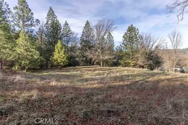 1839 Appleseed Lane, Mariposa, CA 95338 - #3