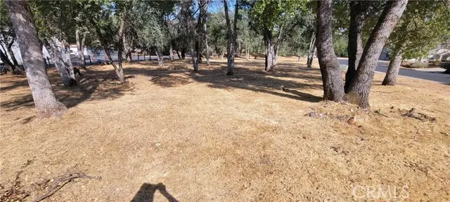 5277 Farfalla Circle, Mariposa, CA 95338 - #3