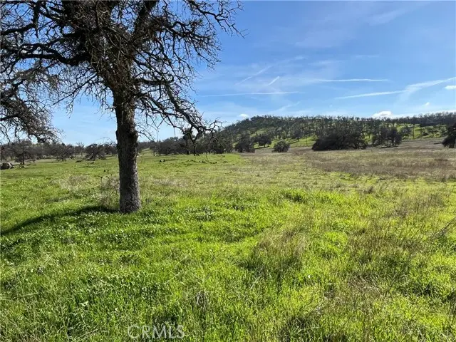 2463 Old Highway, Catheys Valley, CA 95306 - #3