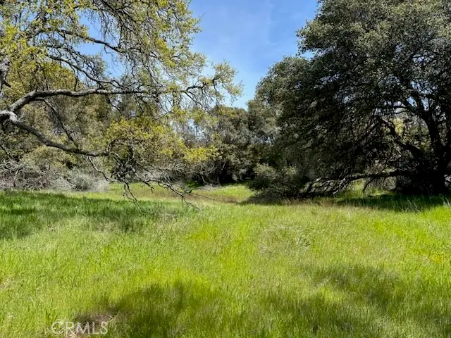 0 Highway 49 N, Mariposa, CA 95338 - #2