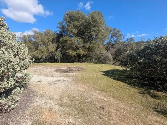 4181 Burl, Mariposa, CA 95338 - #3