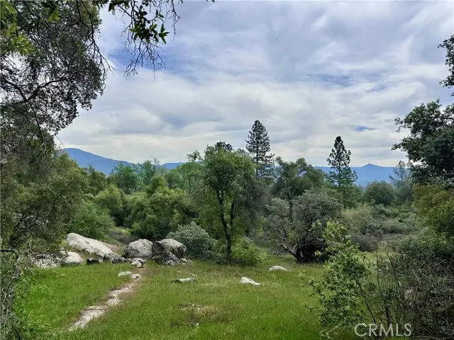 3038 Country Court, Mariposa, CA 95338 - #1