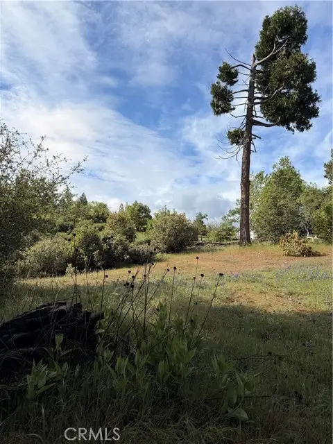 39 Manzanita Drive, Oakhurst, CA 93644 - #2