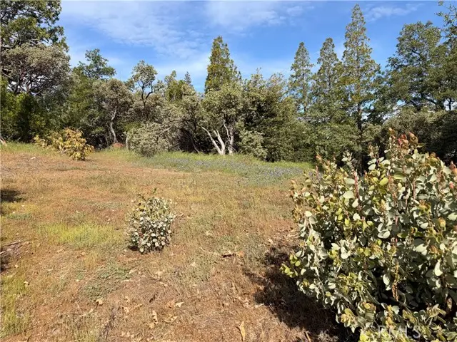 39 Manzanita Drive, Oakhurst, CA 93644 - #3