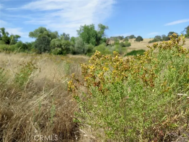 2628 Ranchito, La Grange, CA 95329 - #3