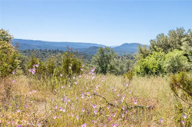 49 Old Yosemite Road, Oakhurst, CA 93644 - #2