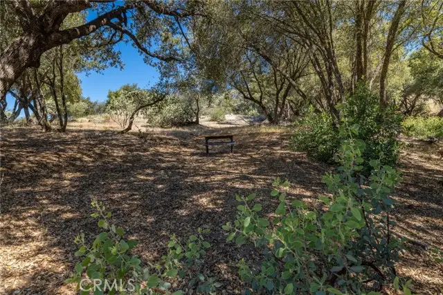 49 Old Yosemite Road, Oakhurst, CA 93644 - #3
