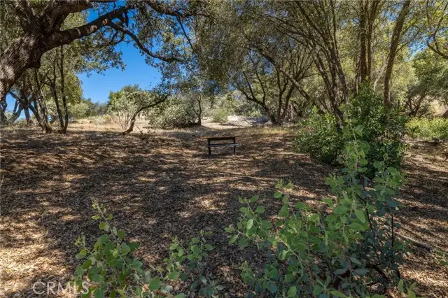 149 Old Yosemite Road, Oakhurst, CA 93644 - #2