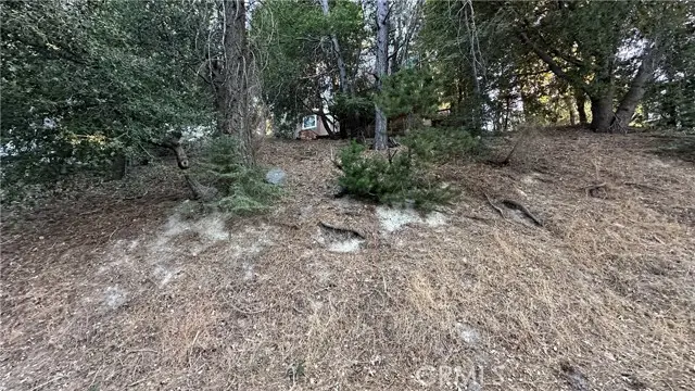 0 Mid Lane, Twin Peaks, CA 92391 - #1