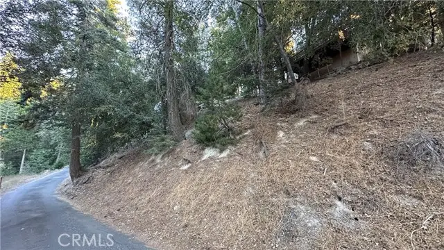 0 Mid Lane, Twin Peaks, CA 92391 - #3