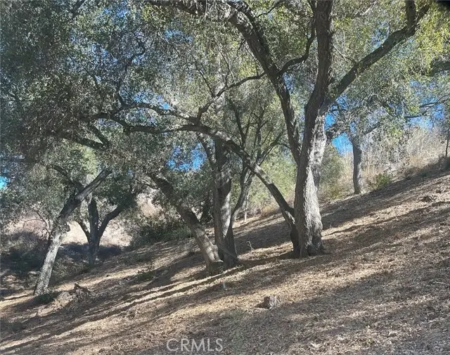 #3