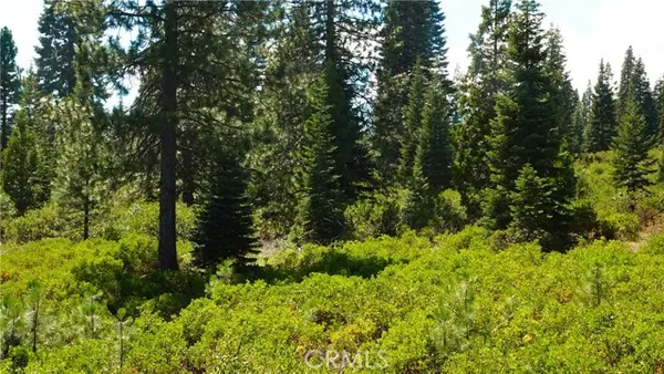 0 Echo Way, Mccloud, CA 96057