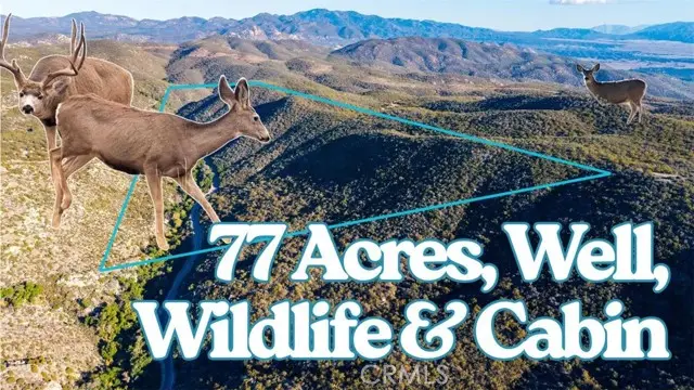 28618 Chihuahua Valley Road, Warner Springs, CA 92086 - #1